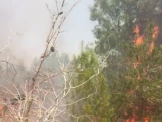 حريق كبير شب في منطقة احراش بالقرب من  يركا